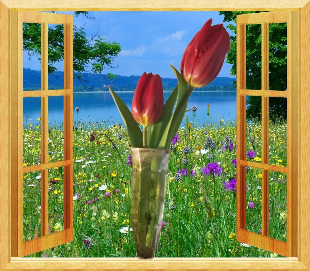 زهرةُ الطفولة..