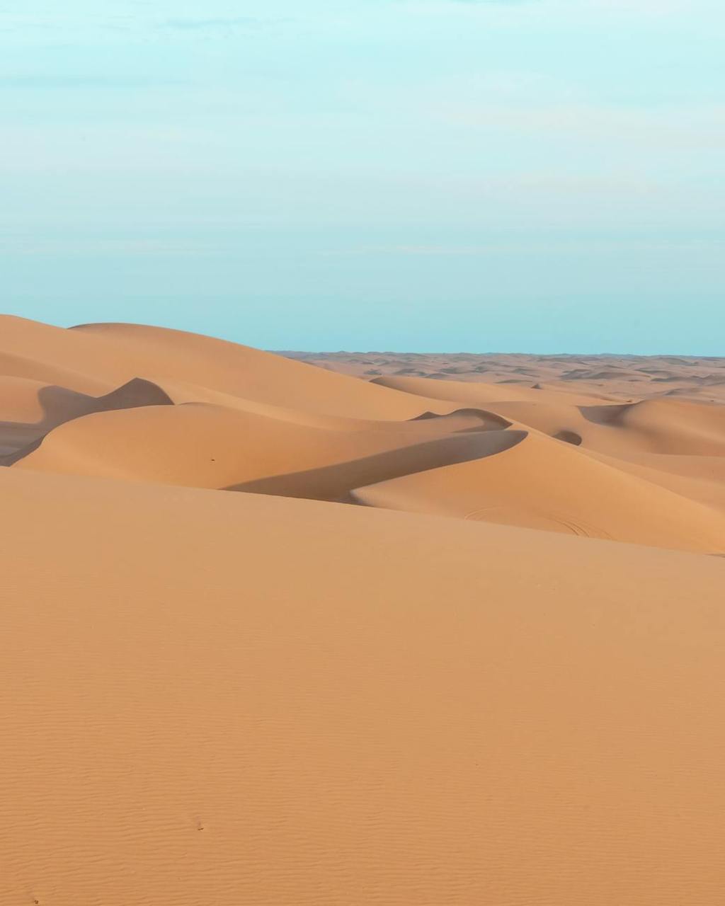 لا أرض للمسنين..